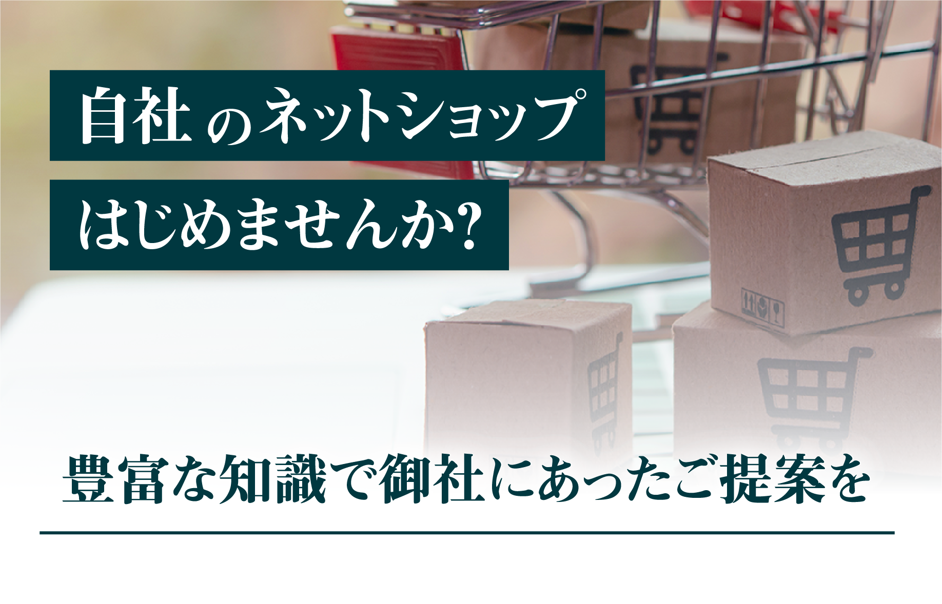 自社のネットショップ始めませんか？豊富な知識で御社にあったご提案を